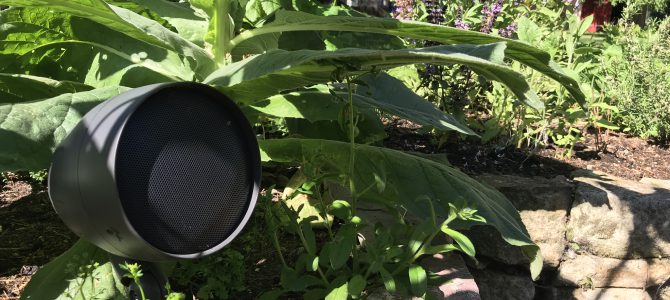 Gartenlautsprecher – Outdoorbeschallung